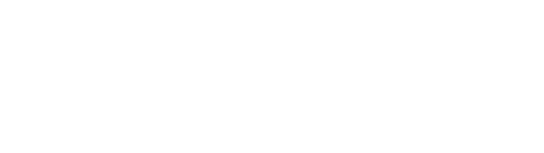 DoctorPapers Logo